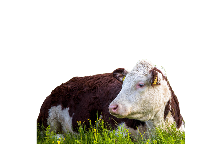 Органическая ферма М2