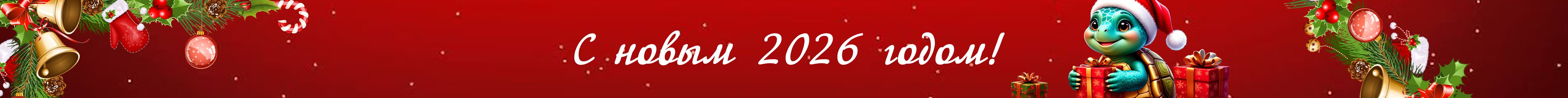 С Новым годом